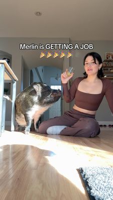 Instagram post by @merlinthepig