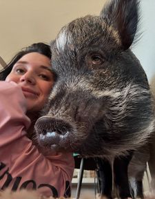Instagram post by @merlinthepig