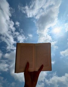 Instagram post by @mofro11