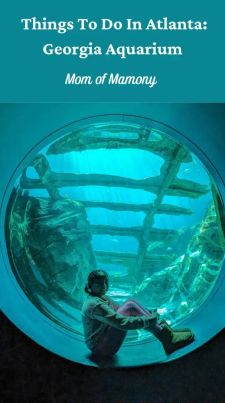 Instagram post by @momofmamony