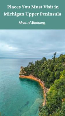 Instagram post by @momofmamony