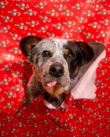 Instagram post by @montyandsashimi