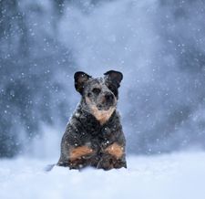 Instagram post by @montyandsashimi