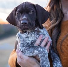 Instagram post by @mooseandscout