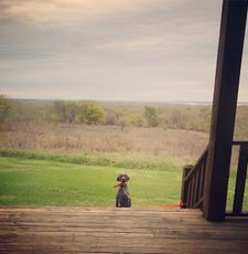 Instagram post by @mooseandscout