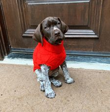 Instagram post by @mooseandscout