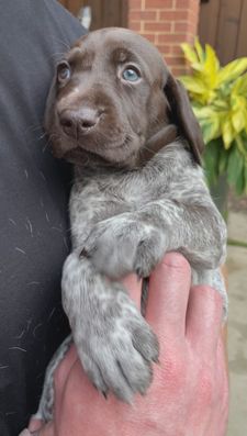 Instagram post by @mooseandscout