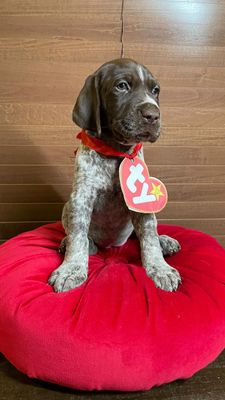 Instagram post by @mooseandscout