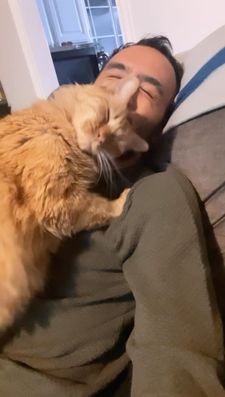 Instagram post by @mrkermitmeow