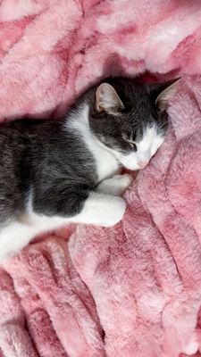 Instagram post by @mrsshelbycarr