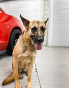 Instagram post by @mrsshelbycarr