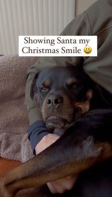 Instagram post by @my_rottie_mowgli