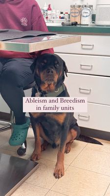 Instagram post by @my_rottie_mowgli