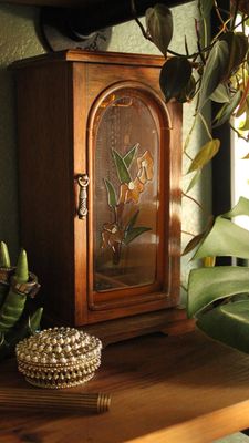 Instagram post by @mybohojunglebook