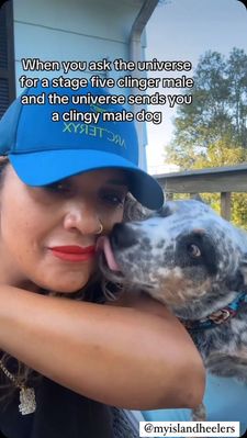 Instagram post by @myislandheelers