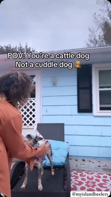 Instagram post by @myislandheelers