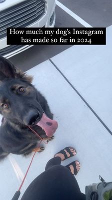 Instagram post by @nala_thesableshepherd