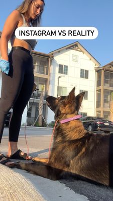 Instagram post by @nala_thesableshepherd