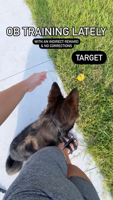 Instagram post by @nala_thesableshepherd