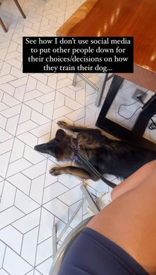 Instagram post by @nala_thesableshepherd