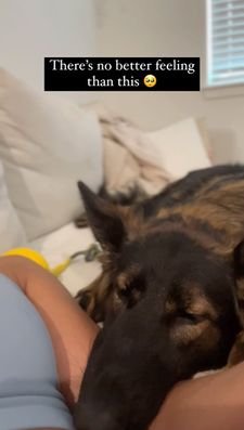 Instagram post by @nala_thesableshepherd
