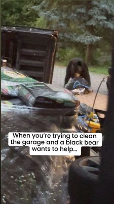 Instagram post by @next_perihelion