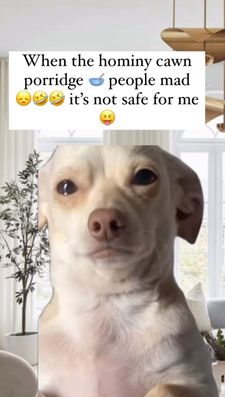 Instagram post by @nicholebesocial
