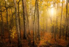 Instagram post by @nickif24