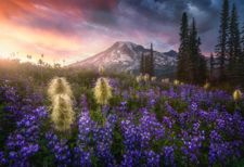 Instagram post by @nickif24