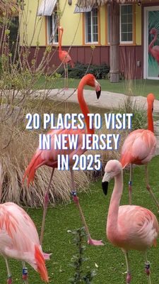 Instagram post by @nj_4_fun