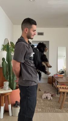 Instagram post by @noataieb