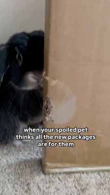 Instagram post by @nyc.buns