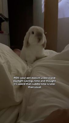 Instagram post by @nyc.buns