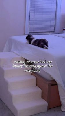 Instagram post by @nyc.buns