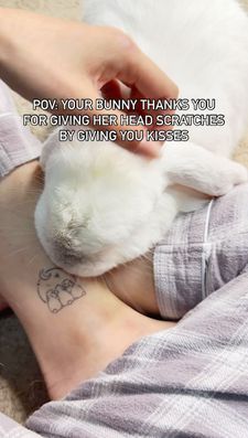 Instagram post by @nyc.buns