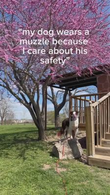 Instagram post by @ohsnapitsbeck