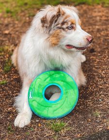 Instagram post by @ourlittlebuddybeau