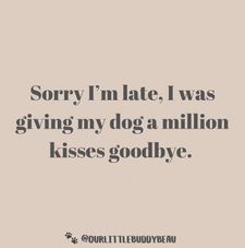 Instagram post by @ourlittlebuddybeau