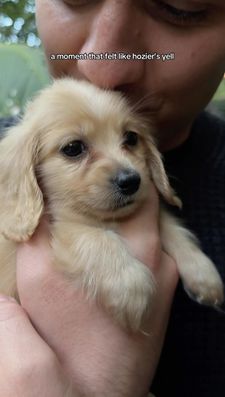 Instagram post by @panchothediva