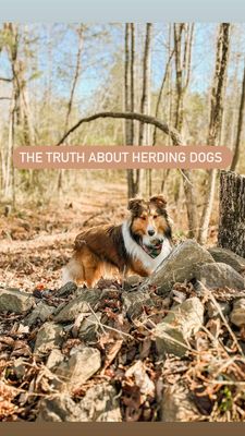 Instagram post by @peachestopearls