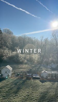 Instagram post by @peachestopearls