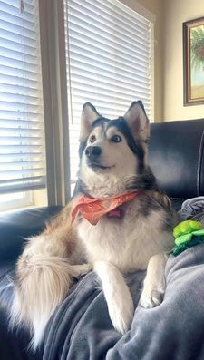 Instagram post by @penelopii.pirouettes