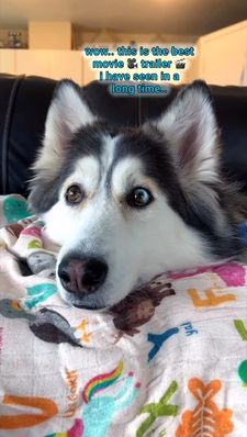 Instagram post by @penelopii.pirouettes