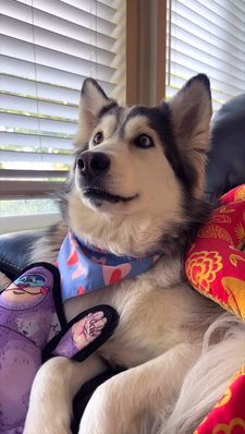 Instagram post by @penelopii.pirouettes