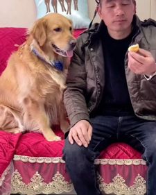 Instagram post by @petpuppys82