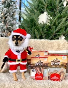 Instagram post by @pickles_houdini