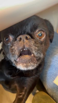 Instagram post by @pluto