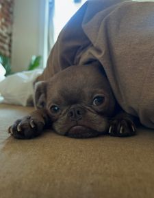 Instagram post by @pluto