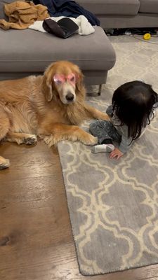 Instagram post by @porkchop_thegolden