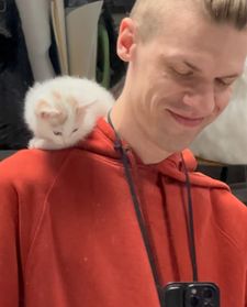 Instagram post by @queenutica